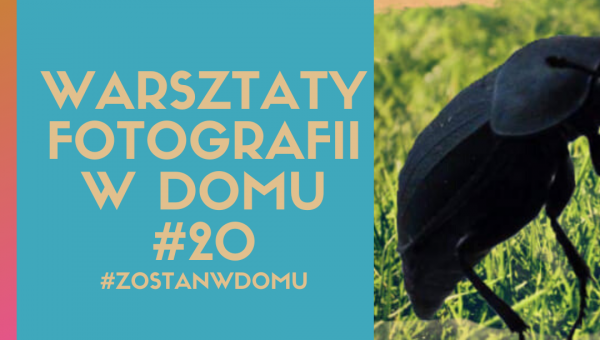 DOSKONALIMY W DOMU SWÓJ WARSZTAT FOTOGRAFICZNY #20